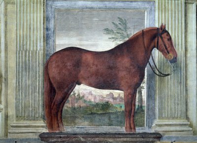 Sala dei Cavalli, Detail, das ein Porträt eines Kastanienpferdes aus